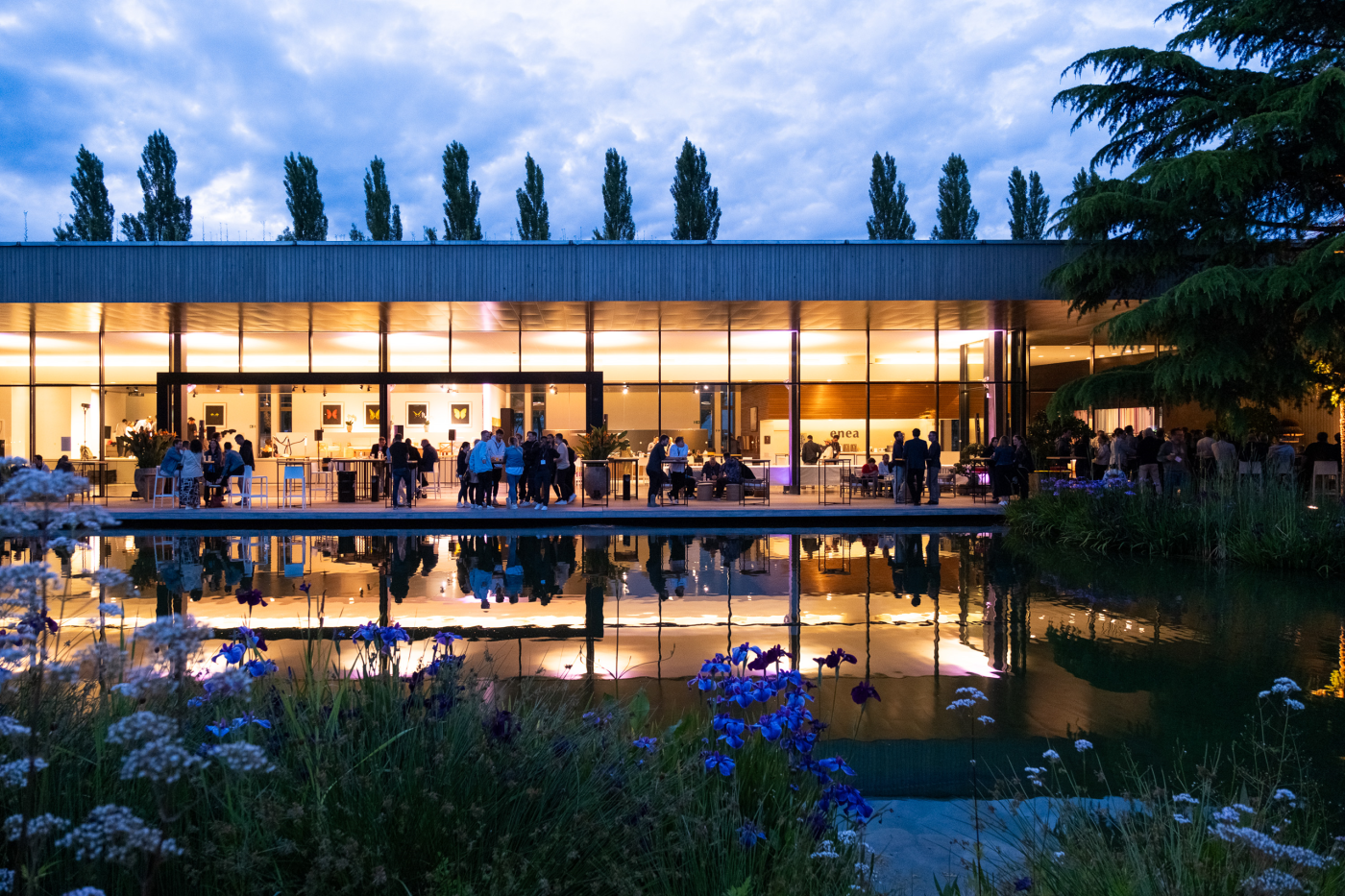Enea Baummuseum